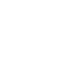 BUST FORM 4D